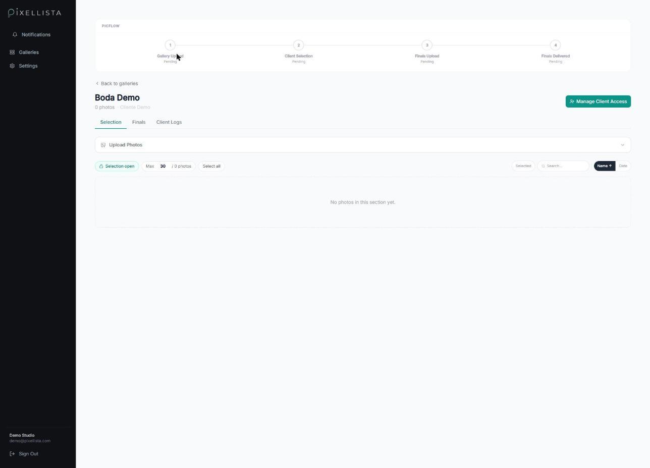 Newly created gallery with Picflow steps